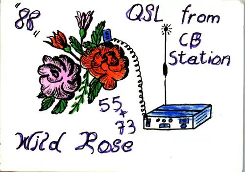 11928 - QSL - CB , Österreich , Mauer bei Amstetten , Wilde Rose