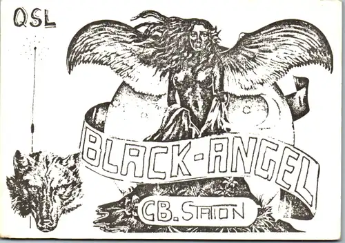 12034 - QSL - CB , Österreich , Viehdorf , Black Angel