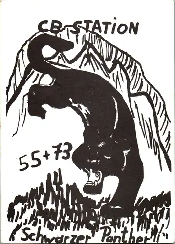 12047 - QSL - CB , Österreich , Steyer , Schwarzer Panther