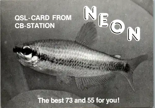 12115 - QSL - CB , Österreich , St. Valentin , Neon