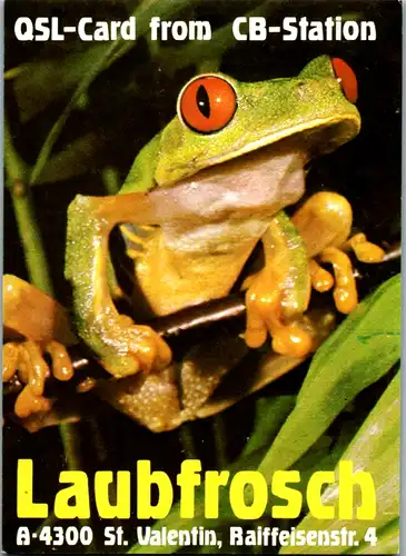 12221 - QSL - CB , Österreich , St. Valentin , Laubfrosch