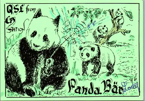 12303 - QSL - CB , Österreich , St. Pölten , Panda Bär