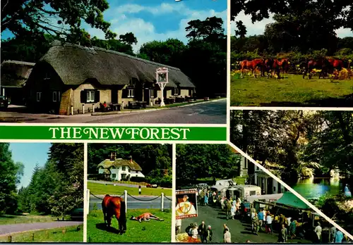 12387 - Großbritannien - Cat & Fiddle Inn , New Forest Foal , Swan Green Lyndhurst , Queen's Bower Brockenhurst - gelaufen 1981