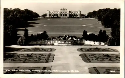 12451 - Wien - Schloß Schönbrunn , Blumenparterre gegen Neptunbrunnen u. Gloriette - nicht gelaufen