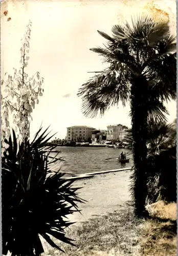 12457 - Kroatien - Porec , Ljetovaliste , Palmen - gelaufen 1964