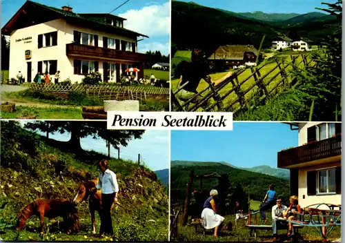 12548 - Steiermark - Obdach , Pension Seetalblick , St. Wolfgang , Urlaub am Bauernhof , Mehrbildkarte - gelaufen 1991