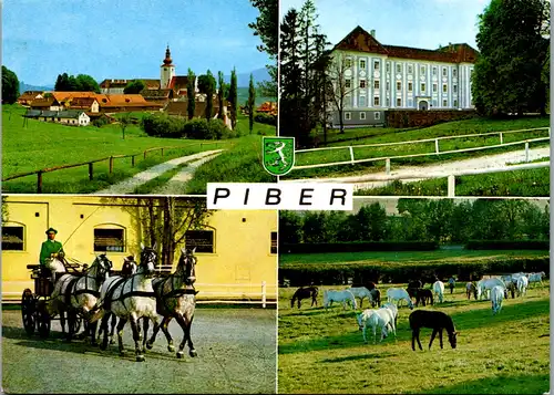 12561 - Steiermark - Piber , Barockschloß , Staatsgestüt, berühmte Lipizzanerzucht , Mehrbildkarte - gelaufen 1982