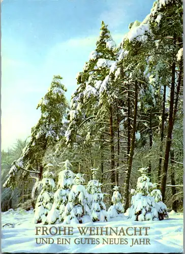 12642 -  - Frohe Weihnachten und ein gutes neues Jahr , Winderlandschaft - gelaufen 1987