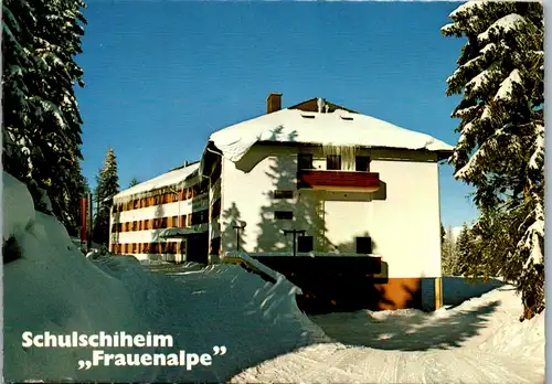 12755 - Steiermark - Murau , Frauenalpe , Schulschiheim - gelaufen 1979