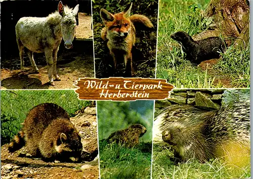 12776 - Steiermark - Gleisdorf , Tierpark Herberstein am Stubenbergsee - gelaufen