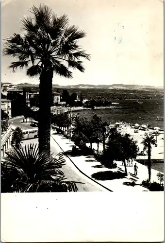12806 - Kroatien - Opatija , Palme , Panorama - gelaufen 1959