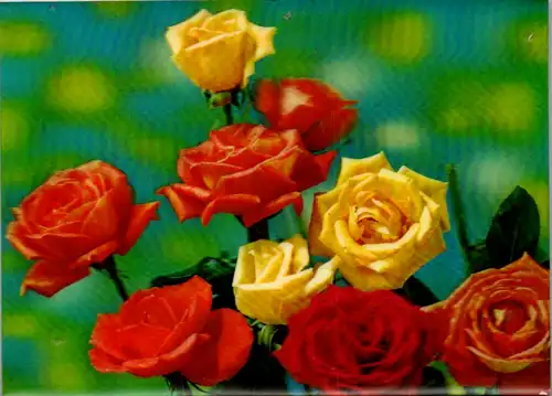 12906 -  - Blumen 3D Karte , Eight Roses - gelaufen 1971