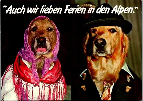 12933 - Humor - Hunde , Auch wir lieben Ferien in den Alpen - gelaufen