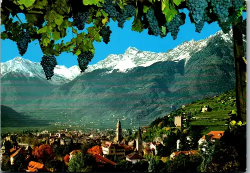 13004 - Italien - Merano , Meran gegen Texelgruppe , Merano verso il Gruppo Tessa - gelaufen