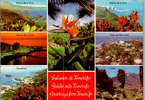13054 - Spanien - Tenerife , Teneriffa , Puerto de la Cruz , Garachico , Teide , Costa de Martianez - gelaufen 1986