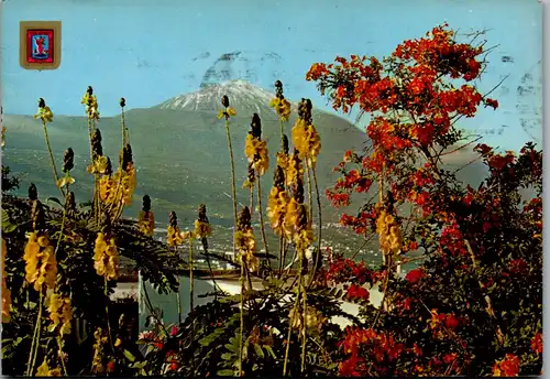13056 - Spanien - Tenerife , Teneriffa , El Teide - gelaufen 1985