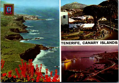 13057 - Spanien - Tenerife , Teneriffa , Mehrbildkarte - gelaufen 1986