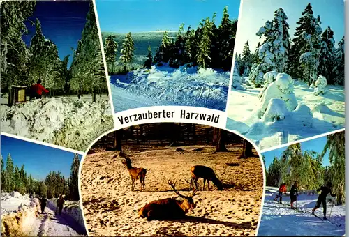13072 - Deutschland - Harzwald , Mehrbildkarte , Rotwild , Winter - gelaufen 1981