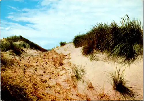 13249 - Deutschland - St. Peter Ording , Dünen - gelaufen 1974