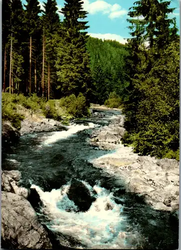 13305 - Deutschland - Am Großen Regen , Bayerischer Wald - gelaufen 1974