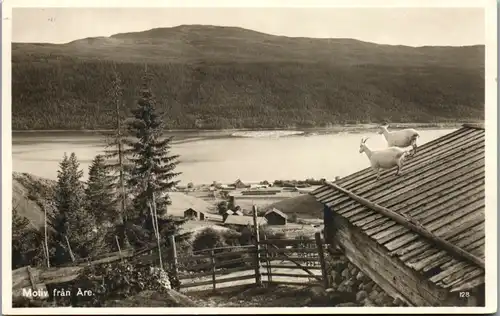 13330 - Schweden - Motiv fran Are , Ziegen am Dach  - gelaufen 1932