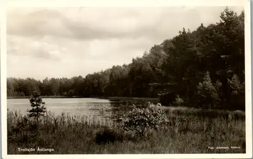 13337 - Schweden - Trollsjön Asljunga , Foto Johansson Vaxtorp - gelaufen 1950