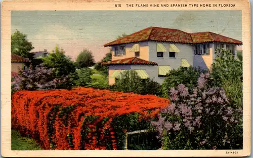 13371 - USA - Florida , The Flame Vine and Spanish type Home in Florida - gelaufen 1936