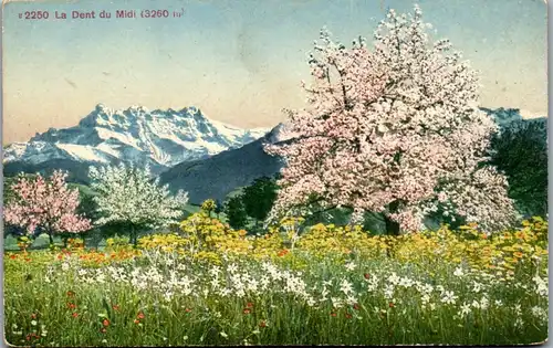 13374 - Schweiz - La Dent du Midi - nicht gelaufen