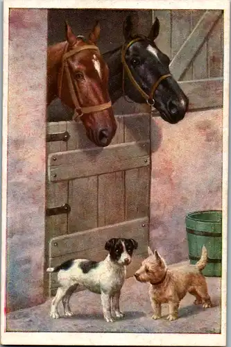 13647 - Künstlerkarte - Pferde und Hunde vor dem Stall , Malerei , M. Munk - nicht gelaufen