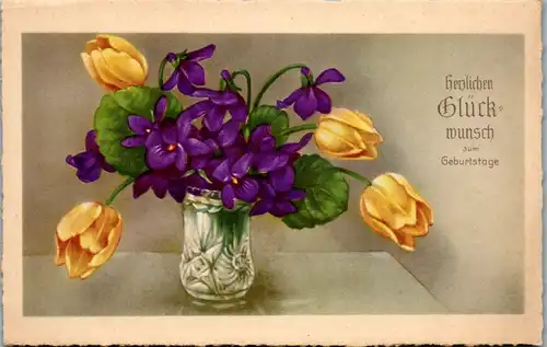 13663 -  - Herzlichen Glückwunsch zum Geburtstage , Tulpen und Veilchen - nicht gelaufen