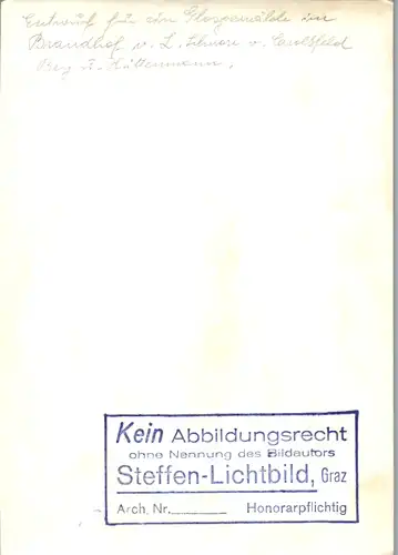 13702 - Künstlerkarte - Steiermark , Mariazell , Gollrad , Entwurf f. Glasgemälde im Brandhof , Berg u. Hüttenmann , Julius Schnorr von Carolsfeld