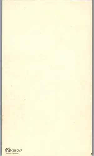 13796 - Heiligenbild