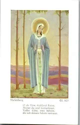 13833 - Heiligenbild - Maria , Marienberg