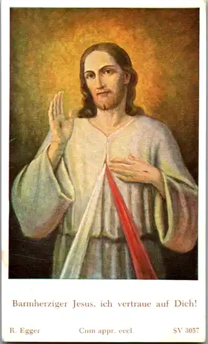 13884 - Heiligenbild - Barmherziger Jesus , ich vertraue auf dich , Dr. Theodor Ryglewski , R. Egger