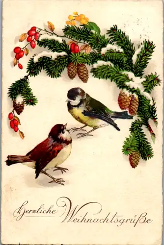 14132 -  - Herzliche Weihnachtsgrüße , Meise - gelaufen