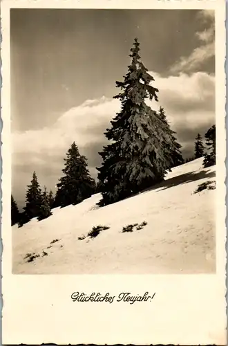 14170 -  - Glückliches Neujahr - gelaufen