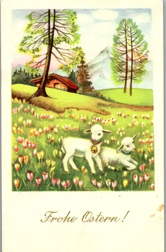 14189 -  - Frohe Ostern - nicht gelaufen