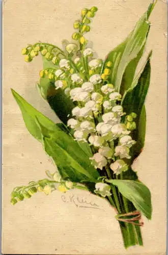 14220 - Künstlerkarte - Blumen , signiert C. Klein - nicht gelaufen