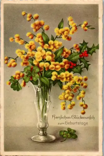 14221 -  - Herzlichen Glückwunsch zum Geburtstage - nicht gelaufen