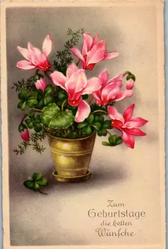 14231 -  - Zum Geburtstage die besten Wünsche - nicht gelaufen