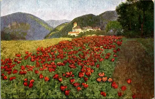 14246 - Künstlerkarte - In voller Blüte , En pleine fleuraison , signiert Karl M. Schuster - nicht gelaufen
