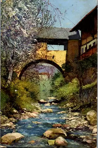 14408 - Tirol - Obstblüte in Tirol - gelaufen 1918