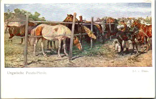 14624 - Künstlerkarte - Ungarische Puszta Pferde , signiert Julius von Blaas - nicht gelaufen