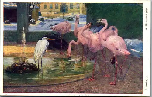 14633 - Künstlerkarte - Flamingo , Alfred Wesemann - nicht gelaufen