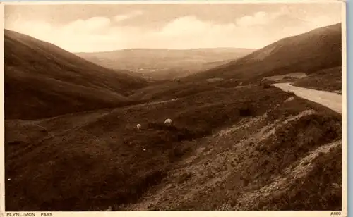 13635 - Großbritannien - Wales , Plynlimon Pass - nicht gelaufen