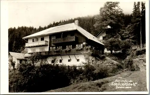 14810 - Steiermark - Radegund bei Graz , Schöcklbartl - gelaufen 1956