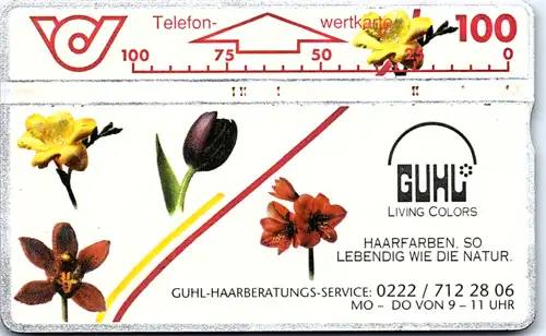 14901 - Österreich - Guhl