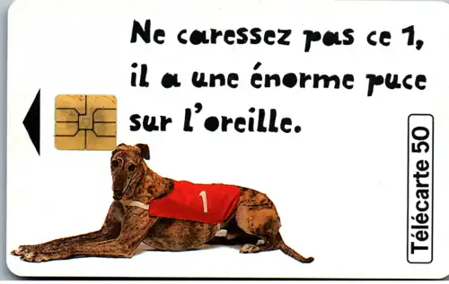 14960 - Frankreich - Loto , Hund