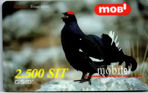 15126 - Slowenien - Mobitel , Mobi , Rusevec , Tetrao tetrix , Auerhahn