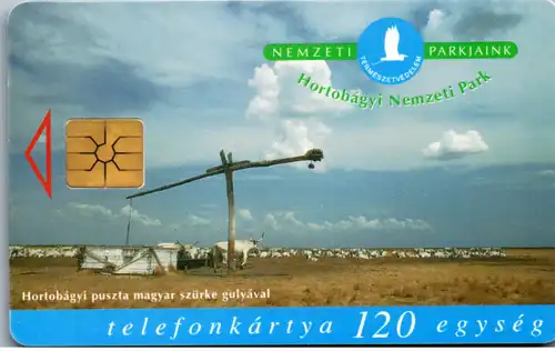 15136 - Ungarn - Nemzeti Parkjaink , Puszta